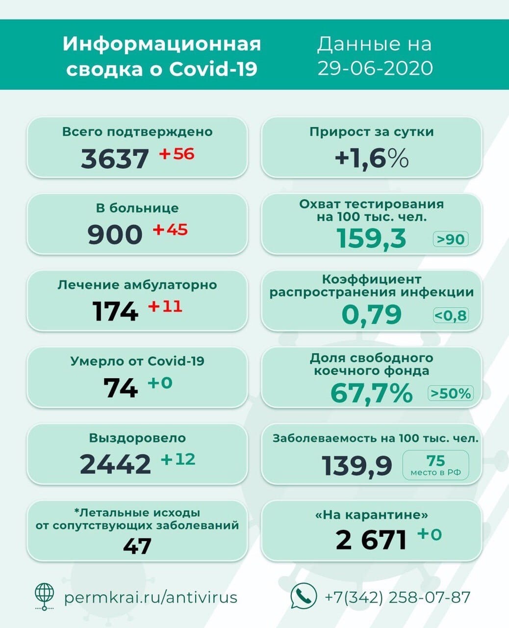 Число подтвержденных случаев коронавируса в Пермском крае выросло до 3637