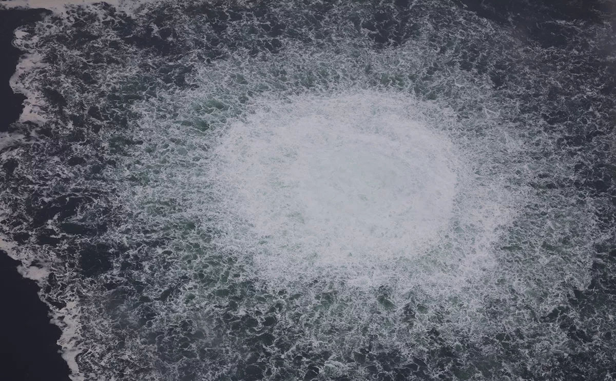 The Swedish Coast Guard / Global Look Press