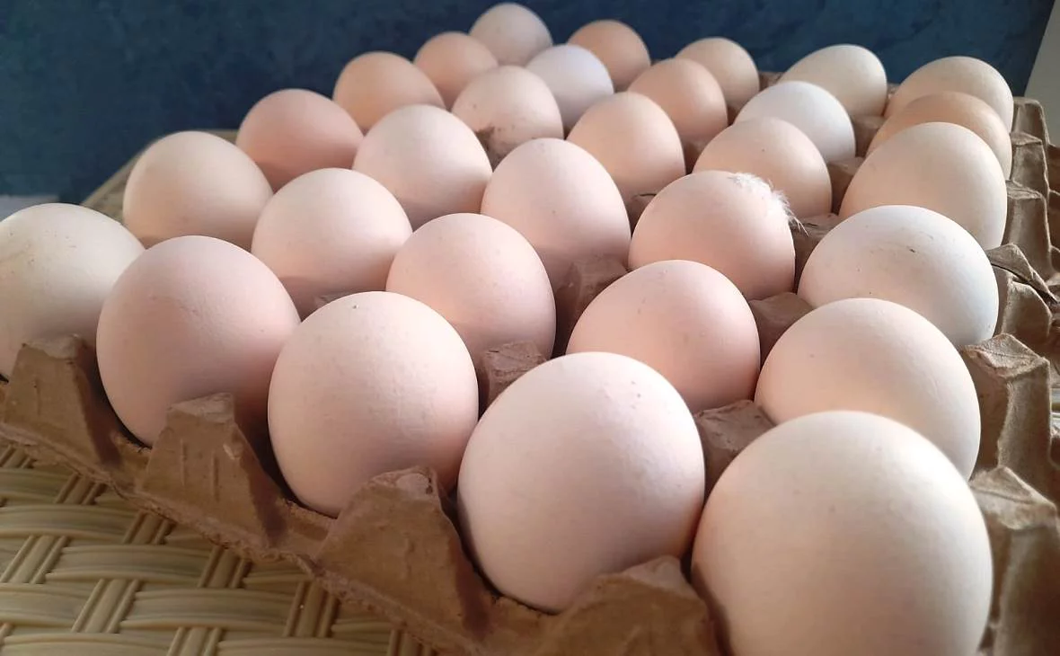 РБК Черноземье