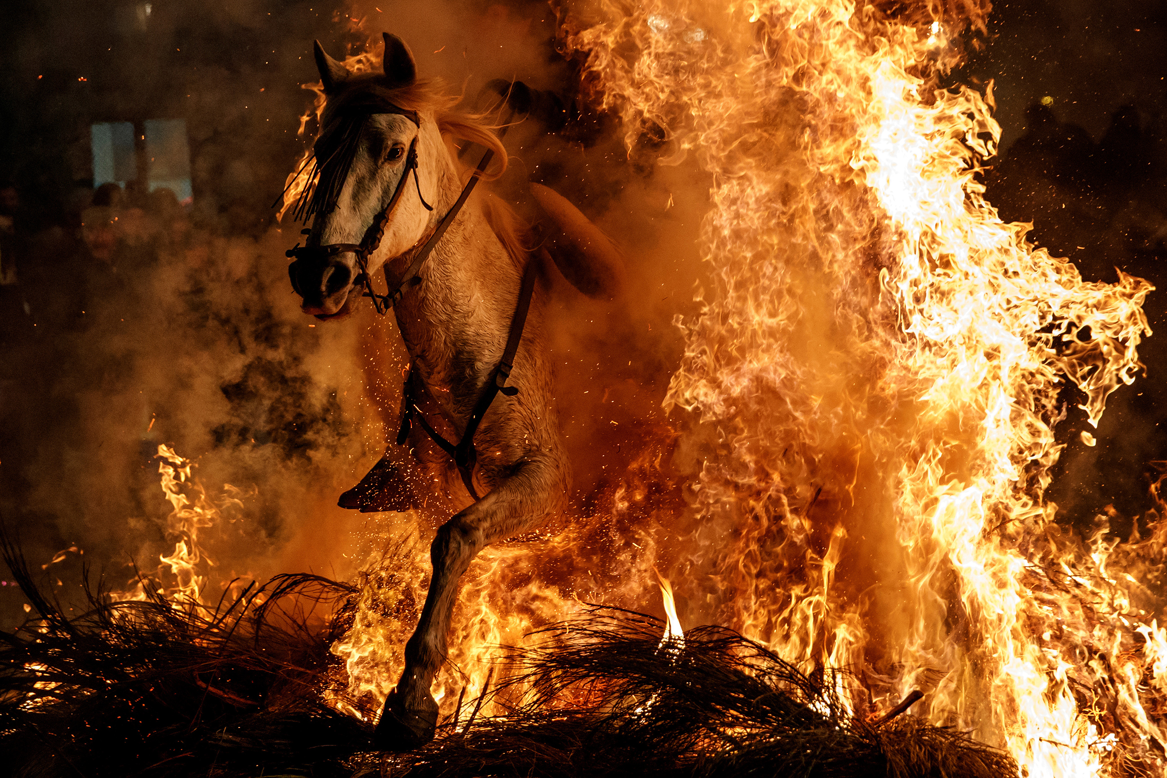 16 января. На лошади сквозь огонь на фестивале &laquo;Люминариас&raquo; в Испании

