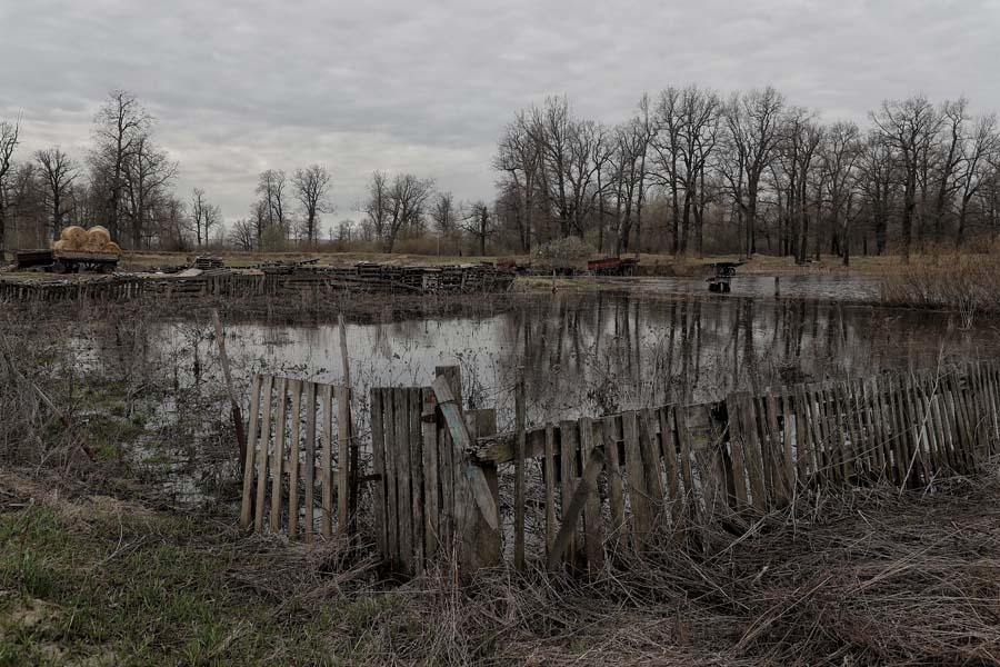 На фото: один из затопленных участков в деревне Лисьи Норы, Луховицкий район