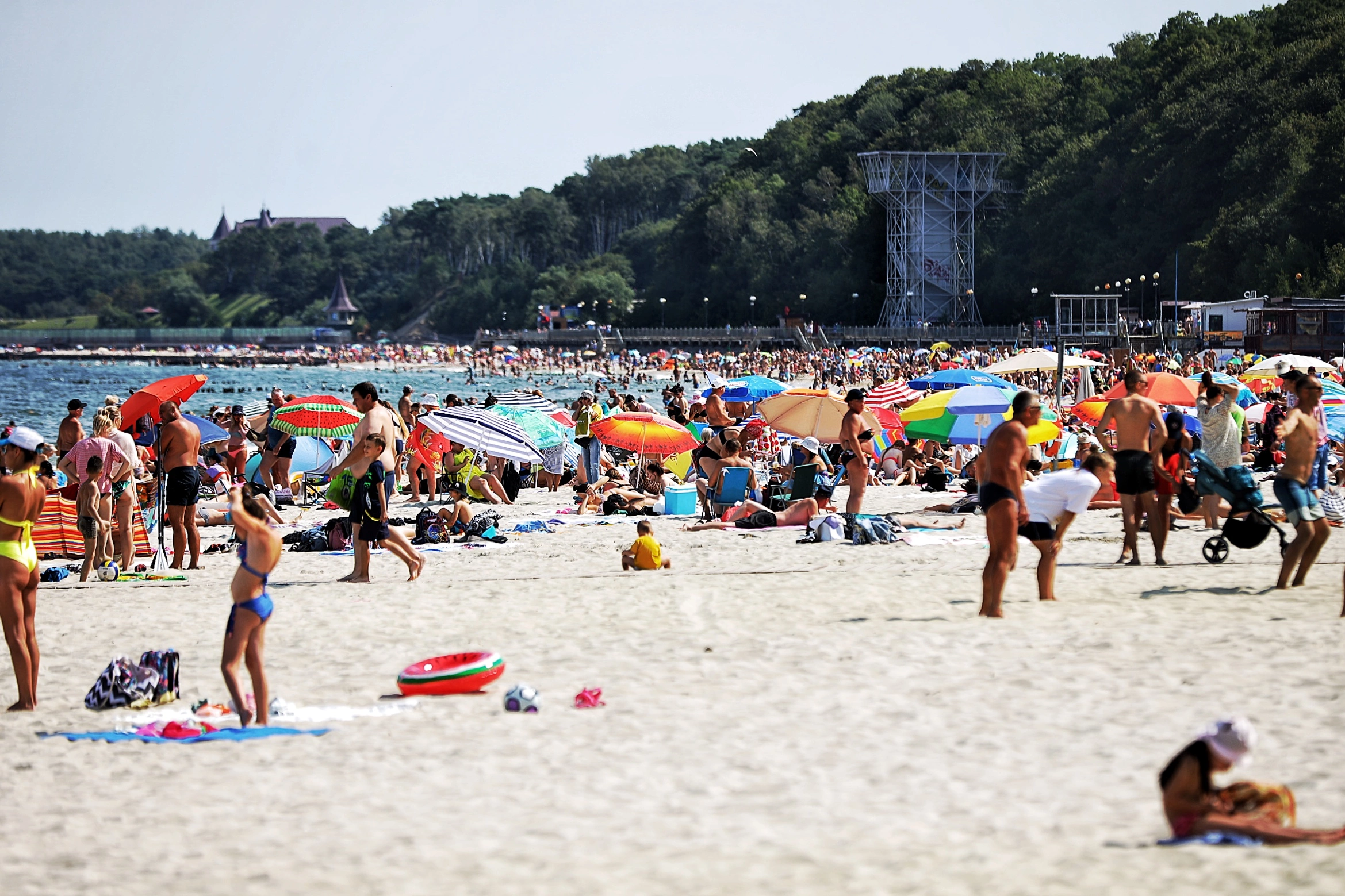 Александр Подгорчук