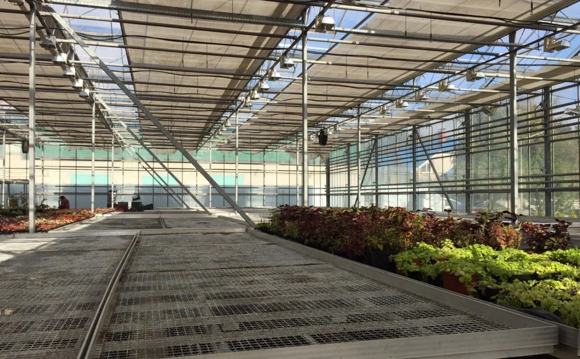 РБК Черноземье