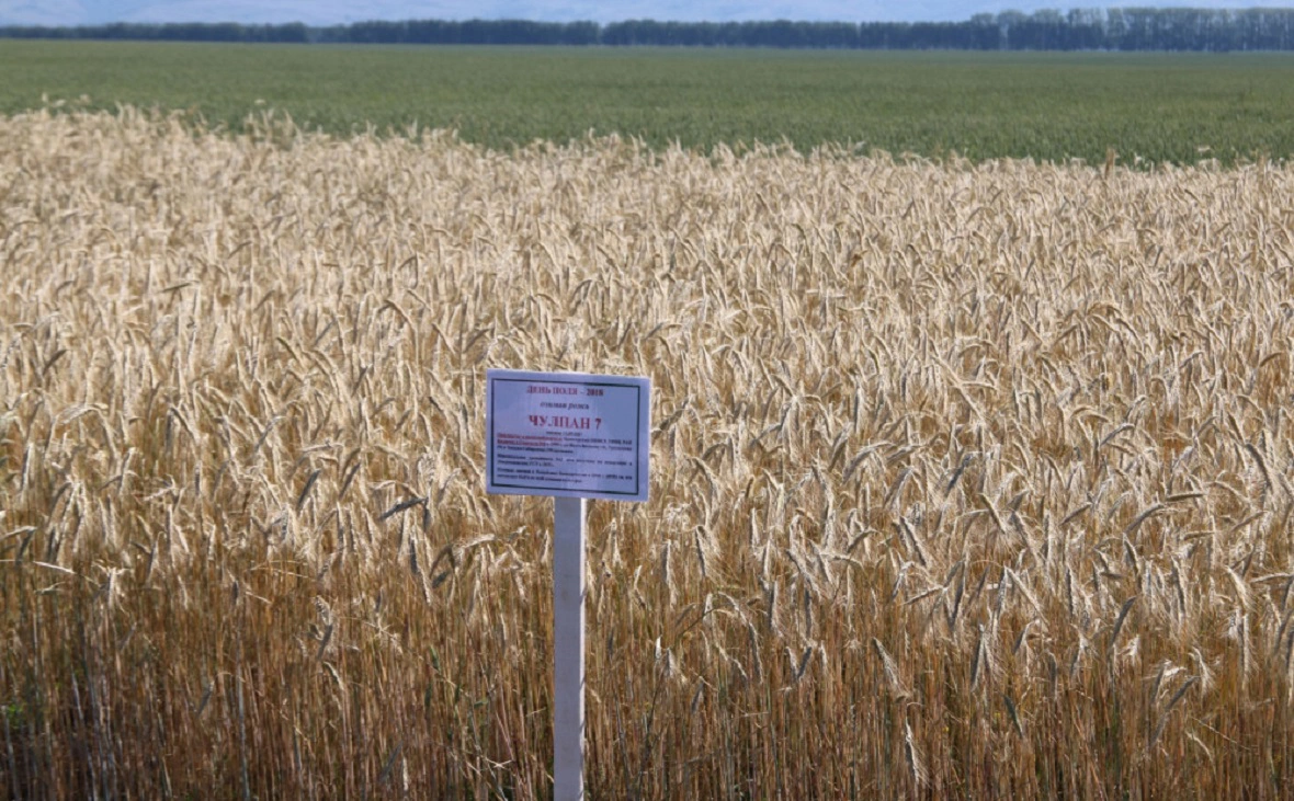 Минсельхоз РБ