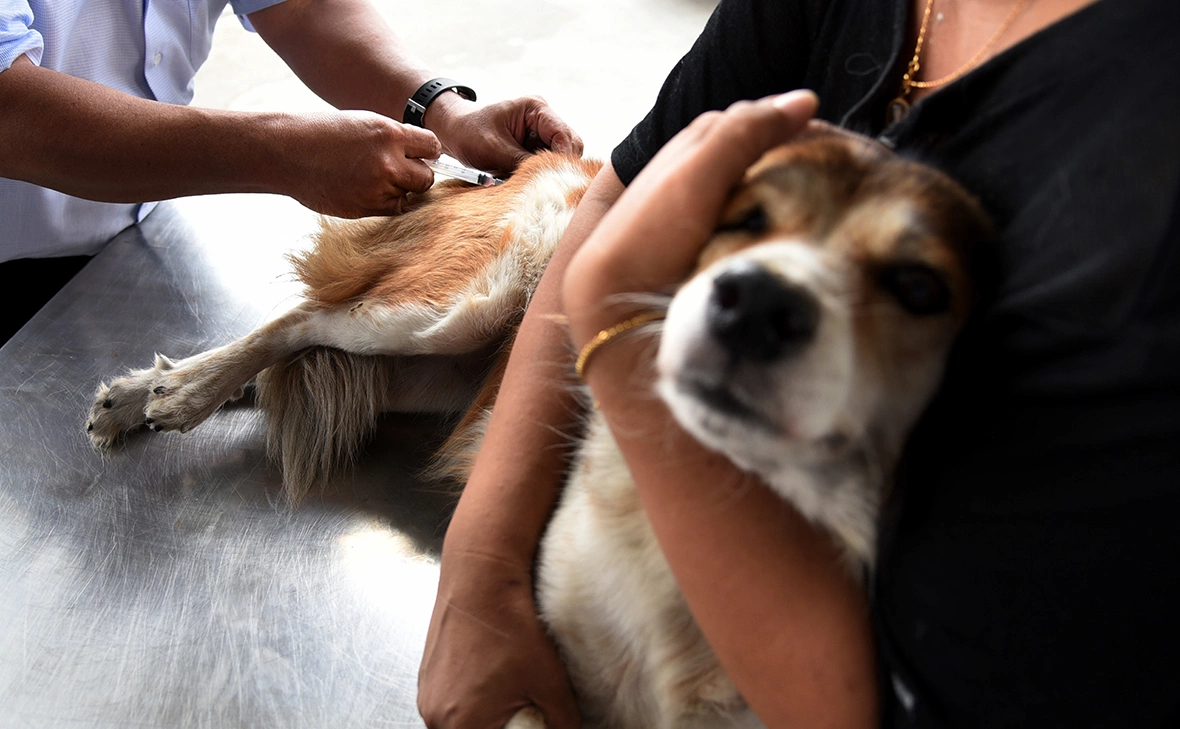 Vichan Poti / ZUMA / ТАСС