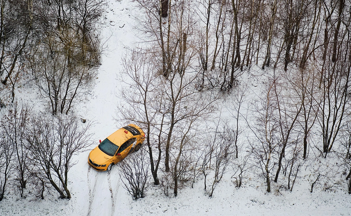 Андрей Журавлев / Shutterstock