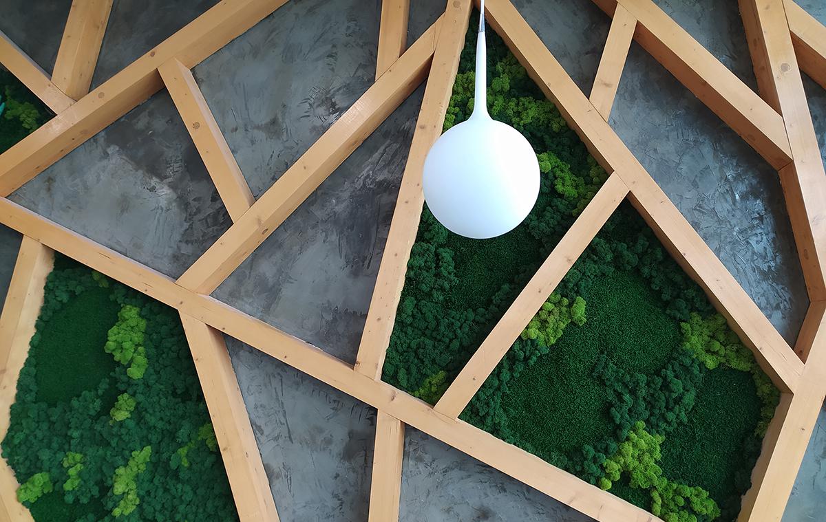 Вертикальное озеленение: что это такое, как сделать и подобрать растения