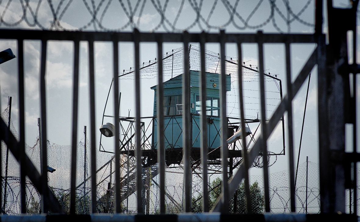 Jonas Petrovas / Shutterstock