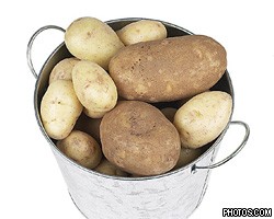 ООН объявила всемирный конкурс на лучшее фото картофеля