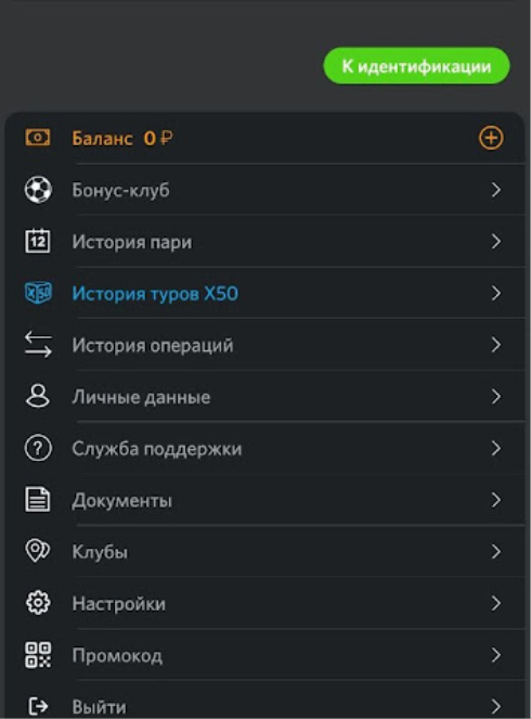 Интерфейс личного кабинета в приложении