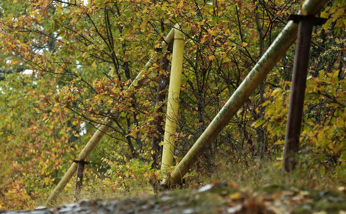 Фото: Сергей Мальгавко / ТАСС