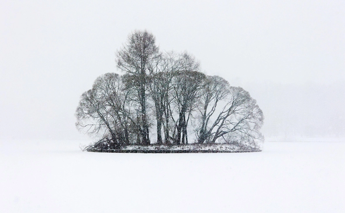 Ярослав Чингаев / АГН «Москва»