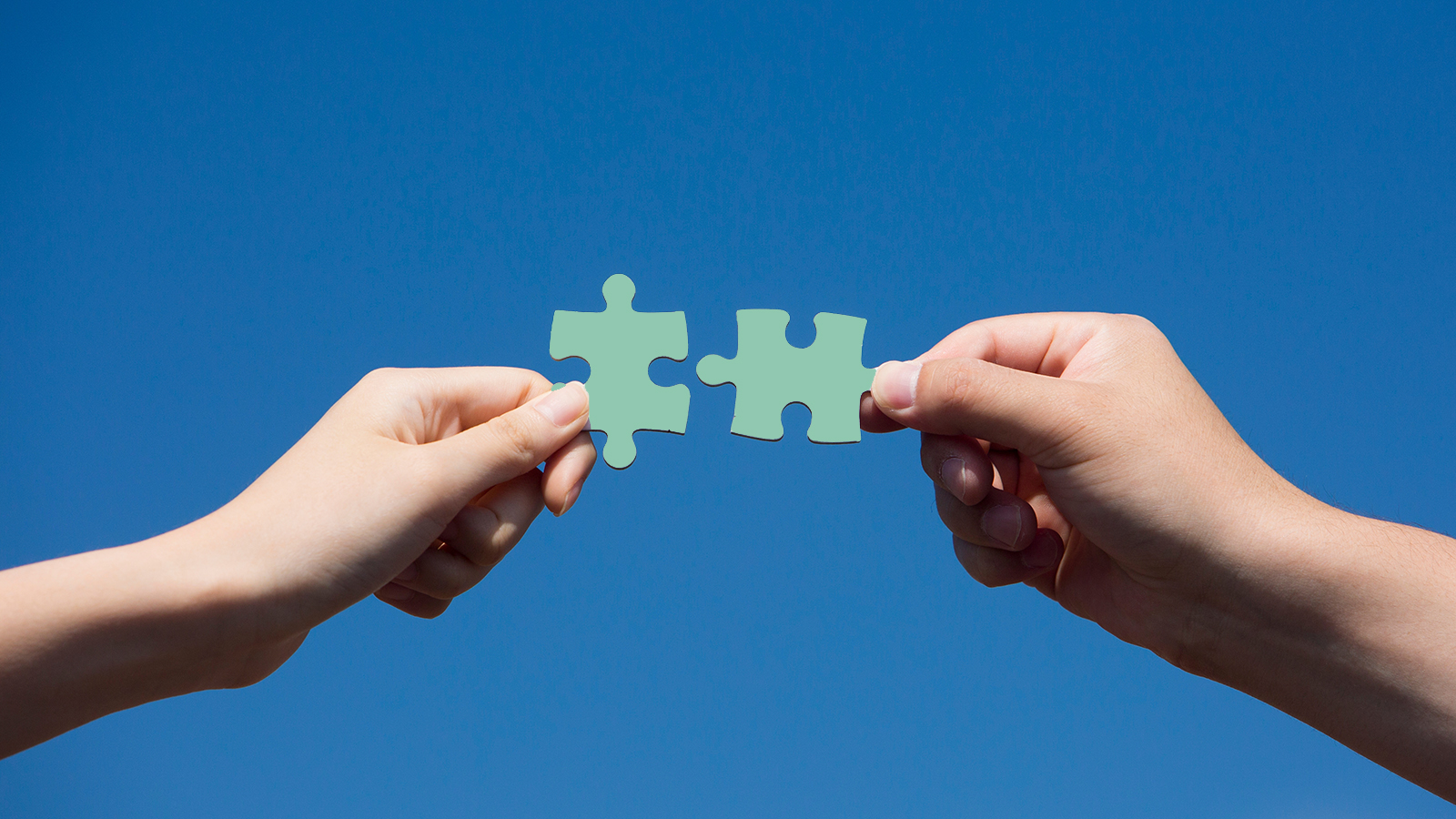 Нужны ли брендам коллаборации. В чем польза совместных продуктов