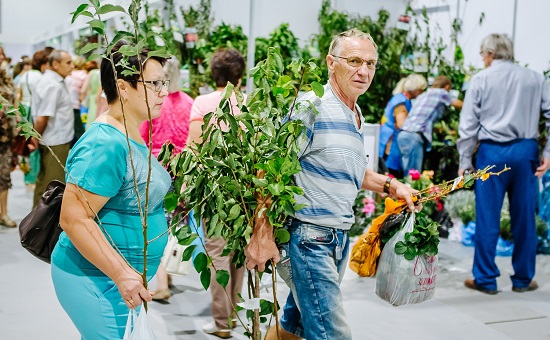 В Краснодаре открылась "Кубанская ярмарка"-2015