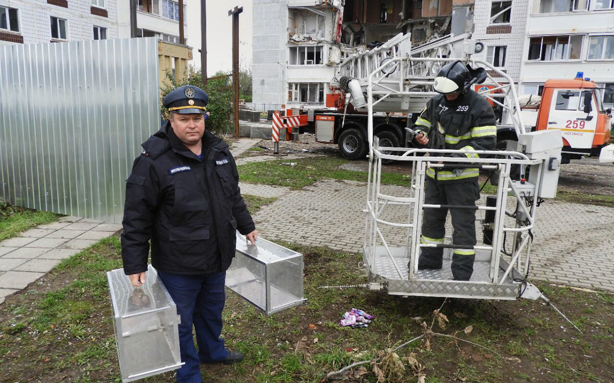 Из пострадавшего от взрыва газа дома в Ногинске спасли всех животных — РБК