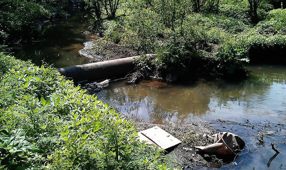 nnovgorod.bezformata.com