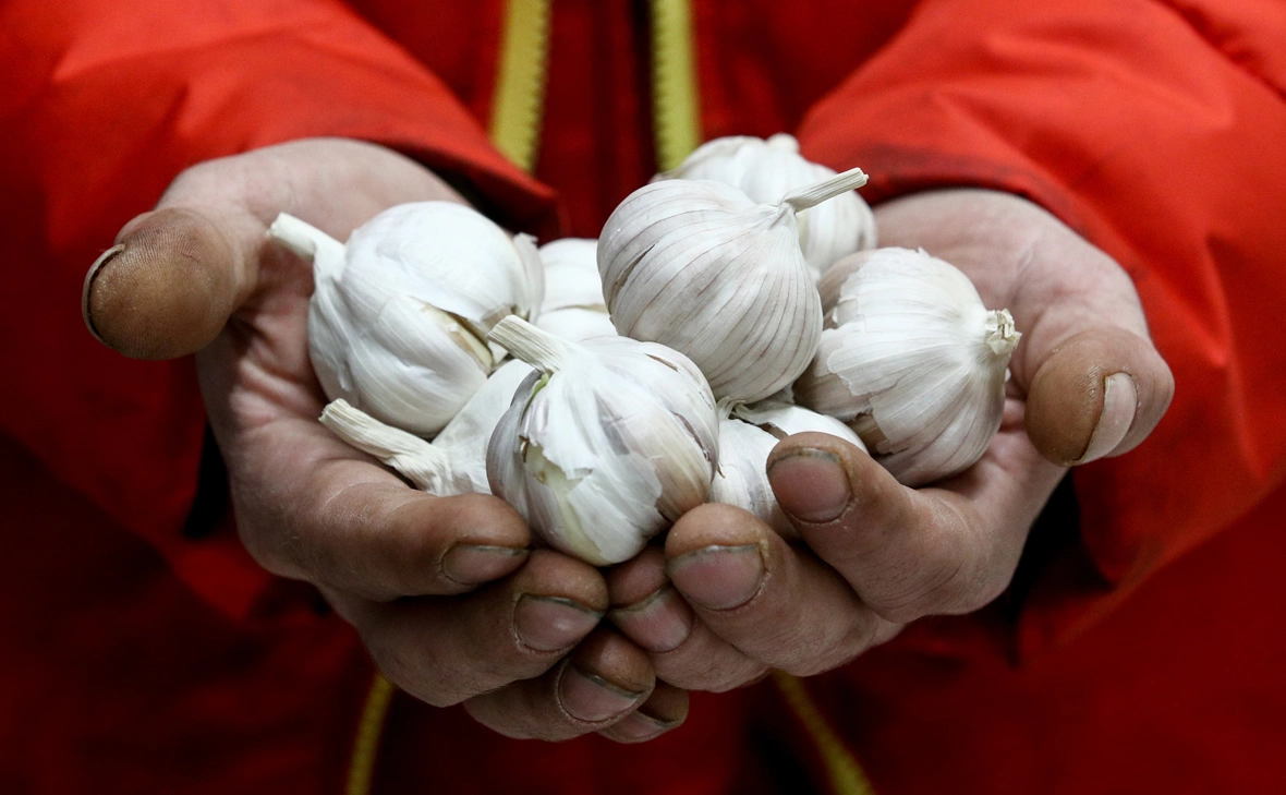 Сергей Бобылев / ТАСС