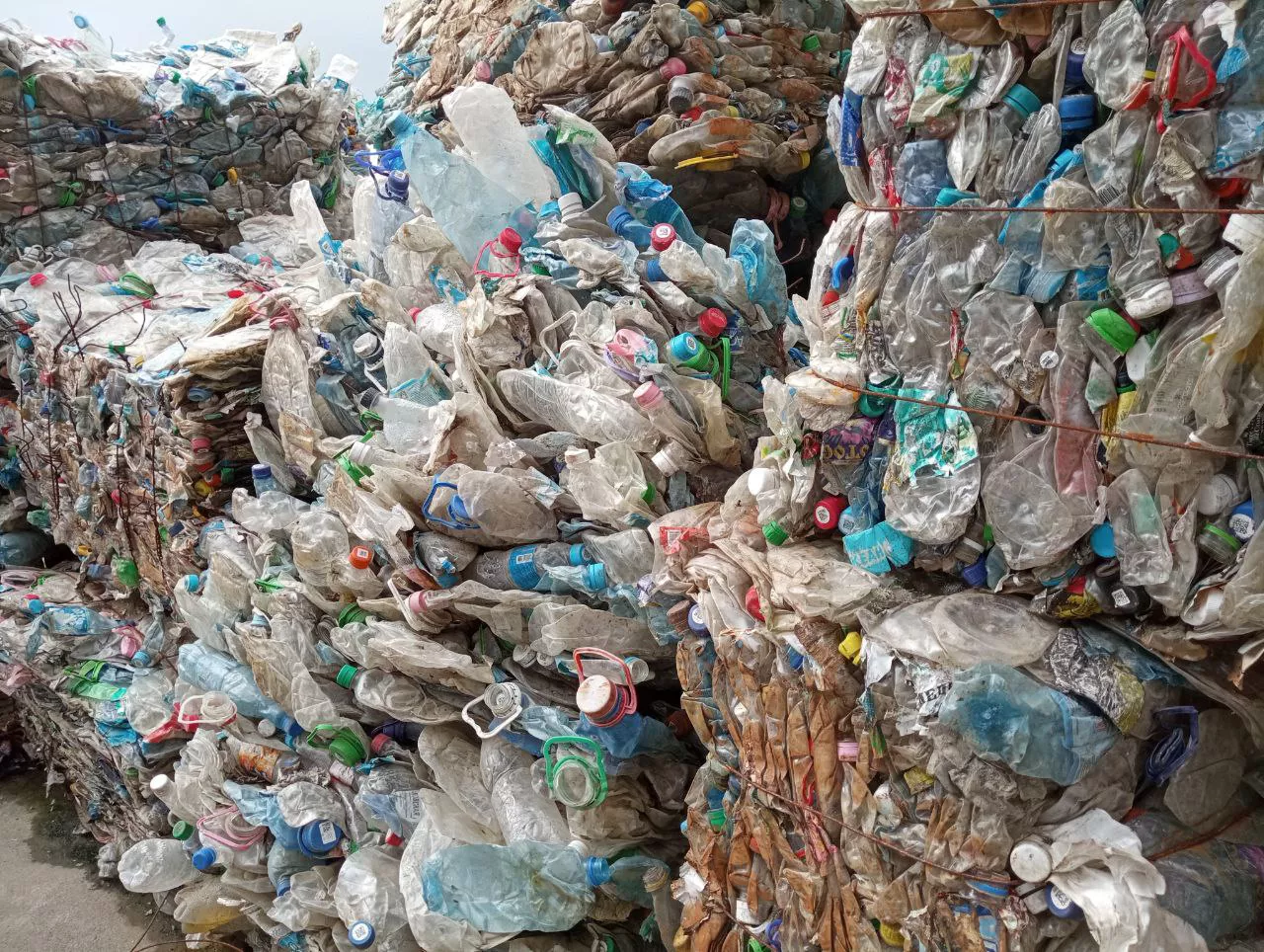 РБК Приморье