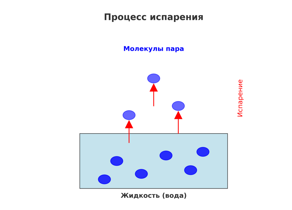 Визуализация процесса испарения

