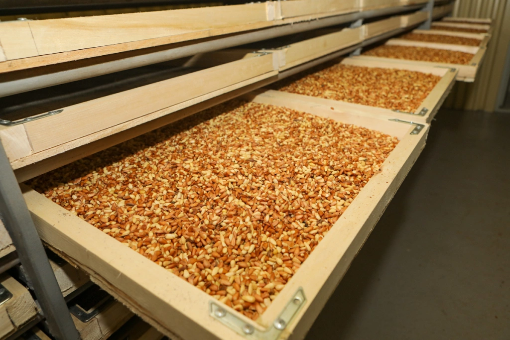 Правительство Приморского края