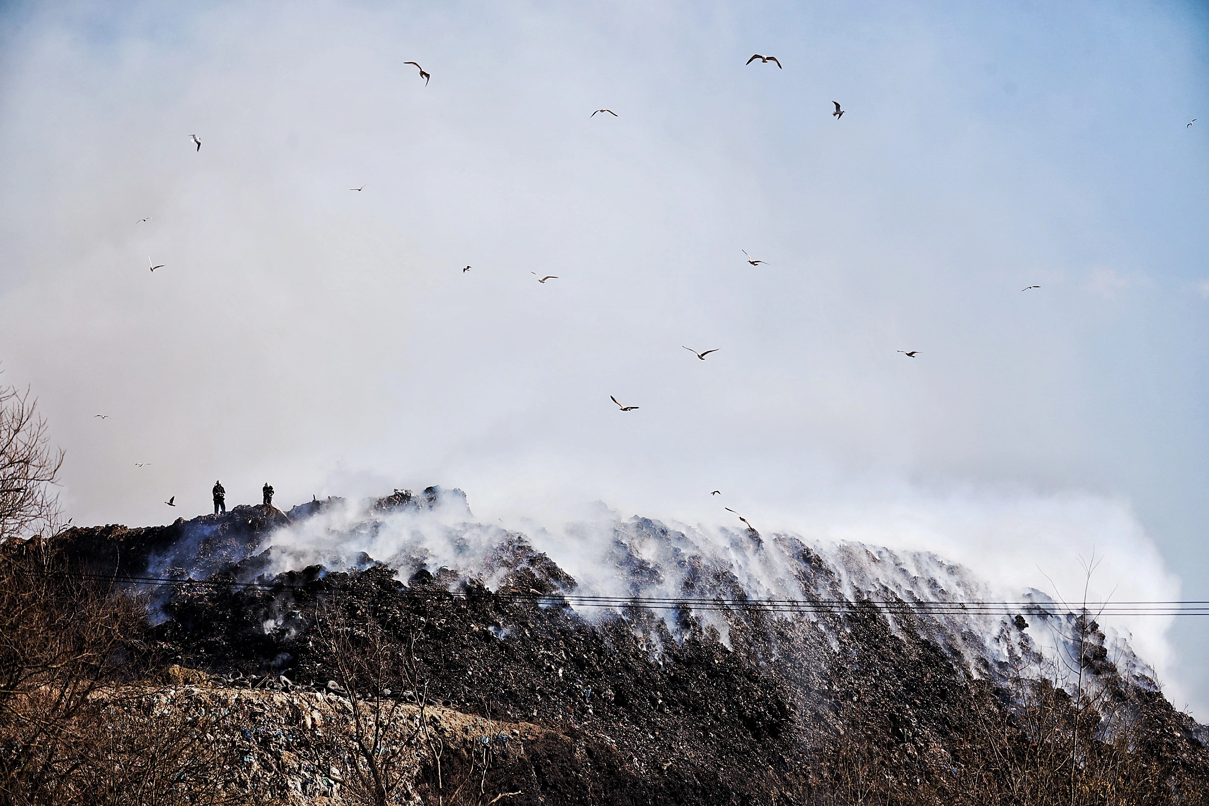 Александр Подгорчук
