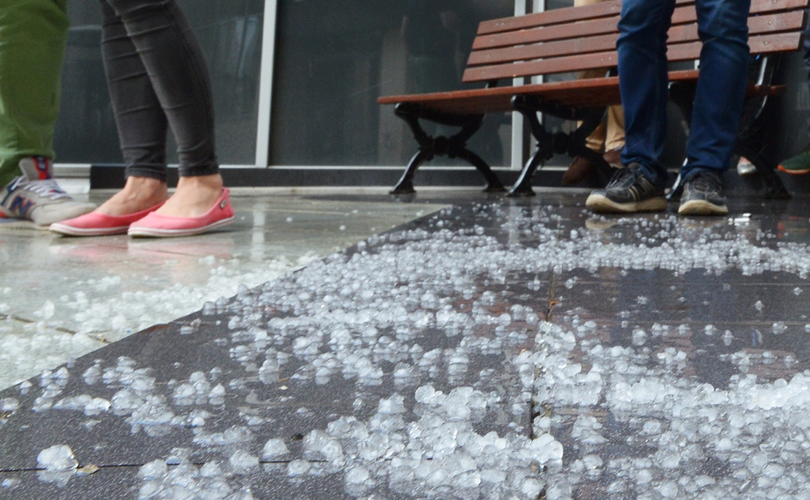 Владимир Трефилов / РИА Новости