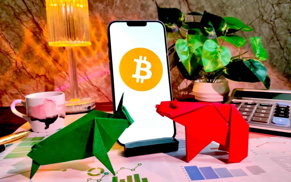 Фото: Stock all / Shutterstock.com