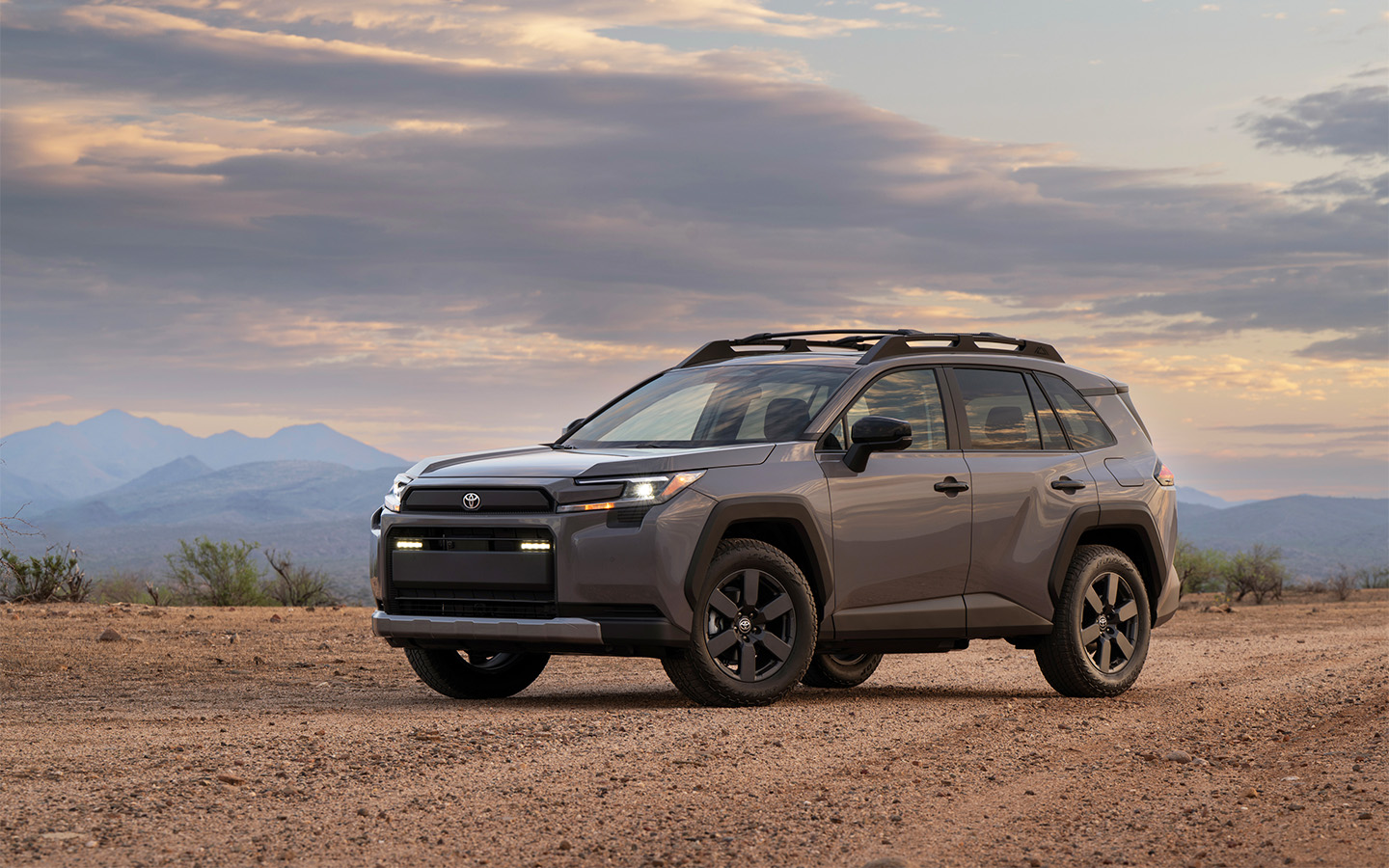 Toyota RAV4 Woodland