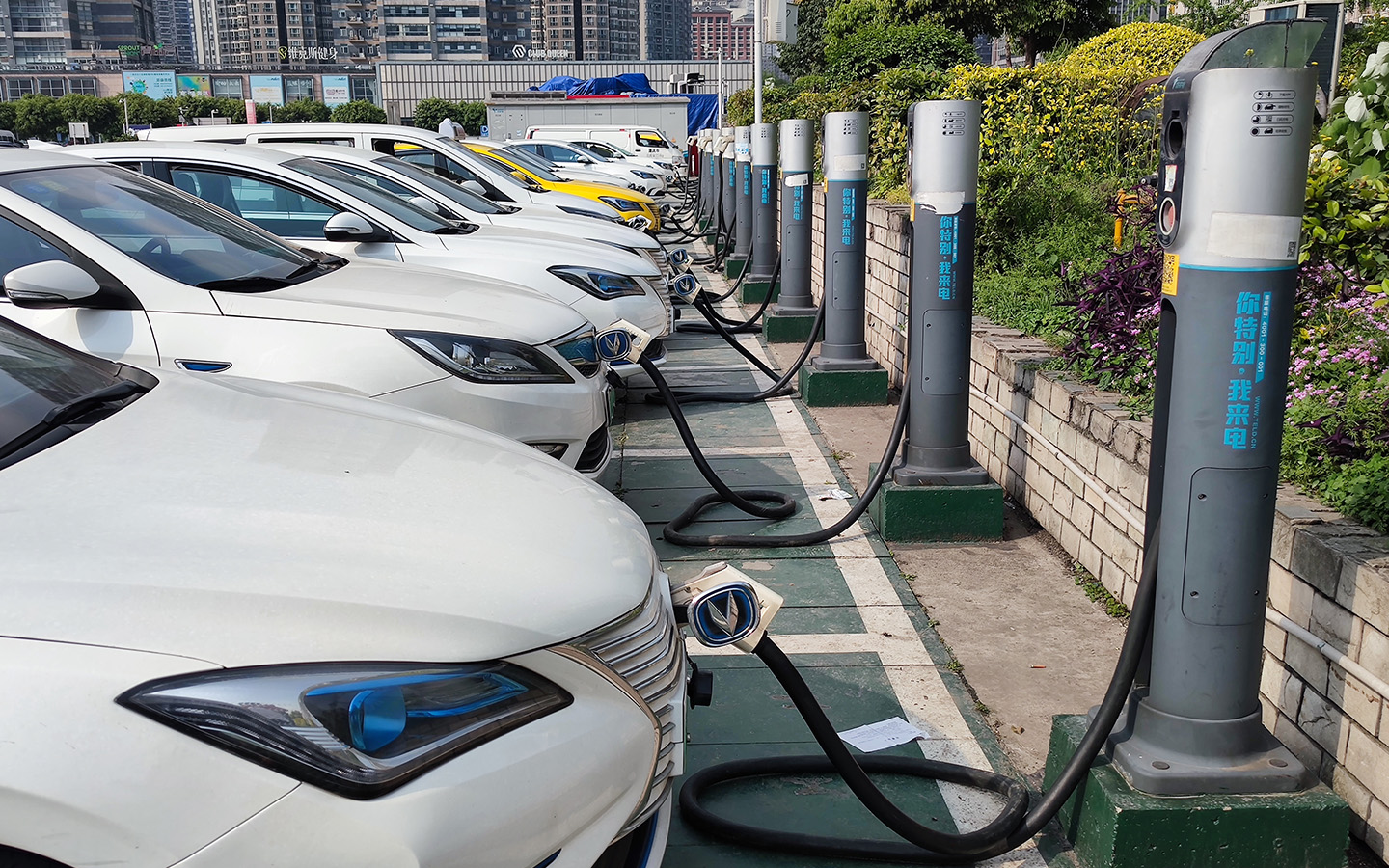 Фото: helloabc / Shutterstock / FOTODOM