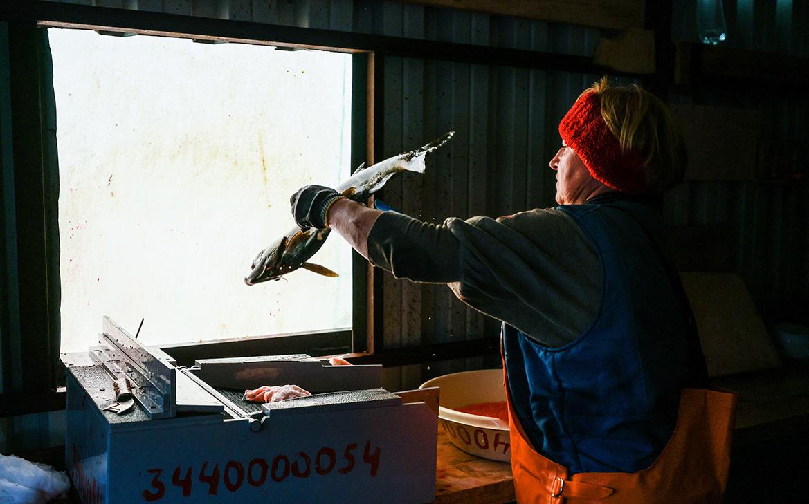 Бразилия начала покупать российскую рыбу