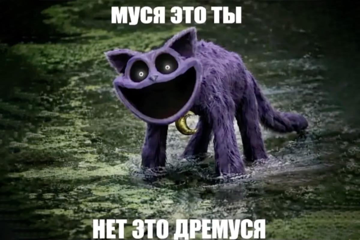 «Нет, это Дремуся» — отсылка к чему-то дремучему, болотному и сонному. На шаблоне обычно фигурирует жутковатый мультяшный кот