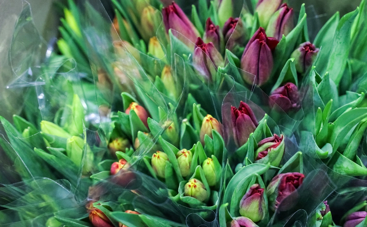 Сергей Бобылев / ТАСС