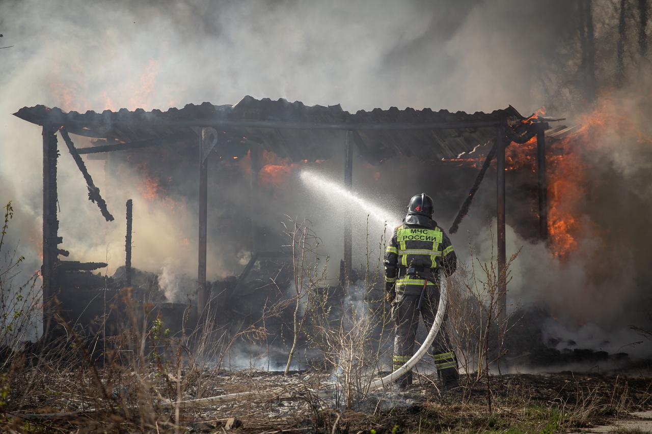 С начала года в Тюменской области зафиксированы 43 лесных пожара