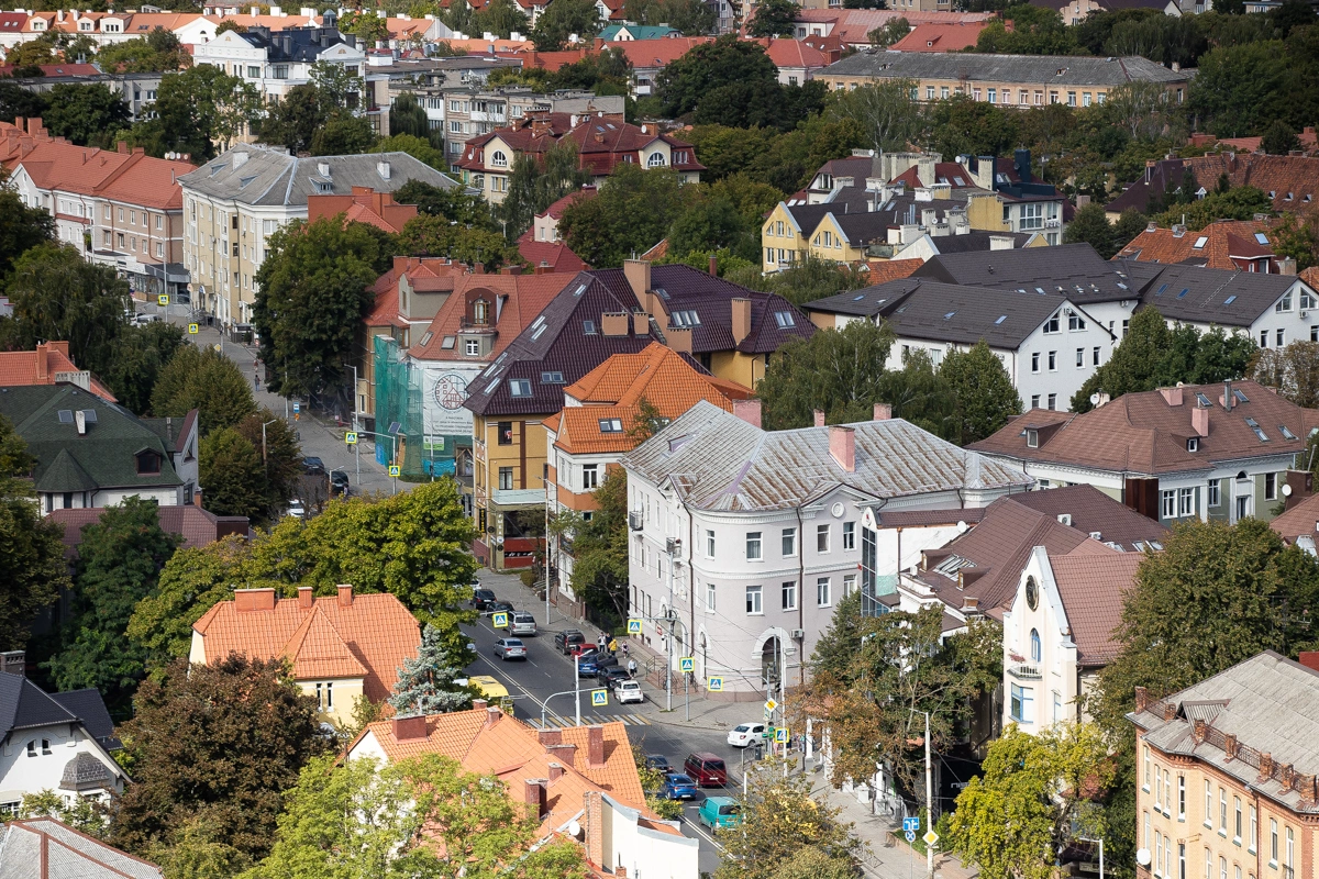 Александр Подгорчук
