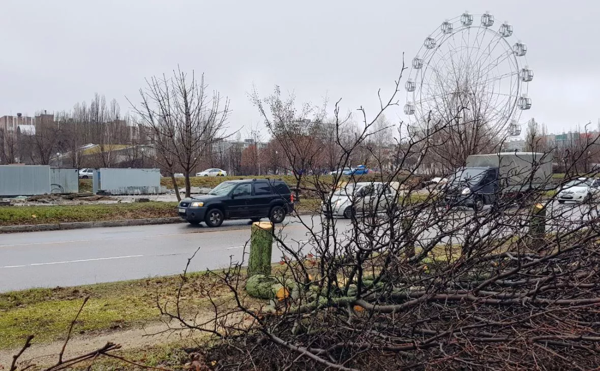 РБК Черноземье