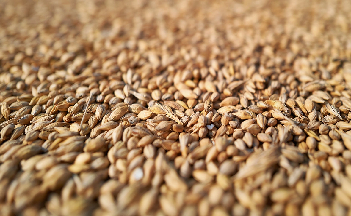 Pierre Crom / Getty Images