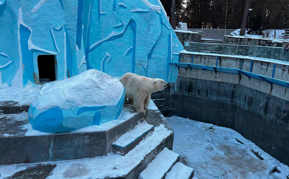 Фото: Прокуратура Новосибирской области