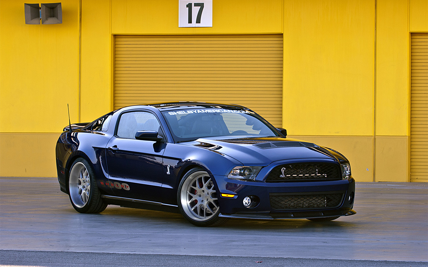 Shelby 1000