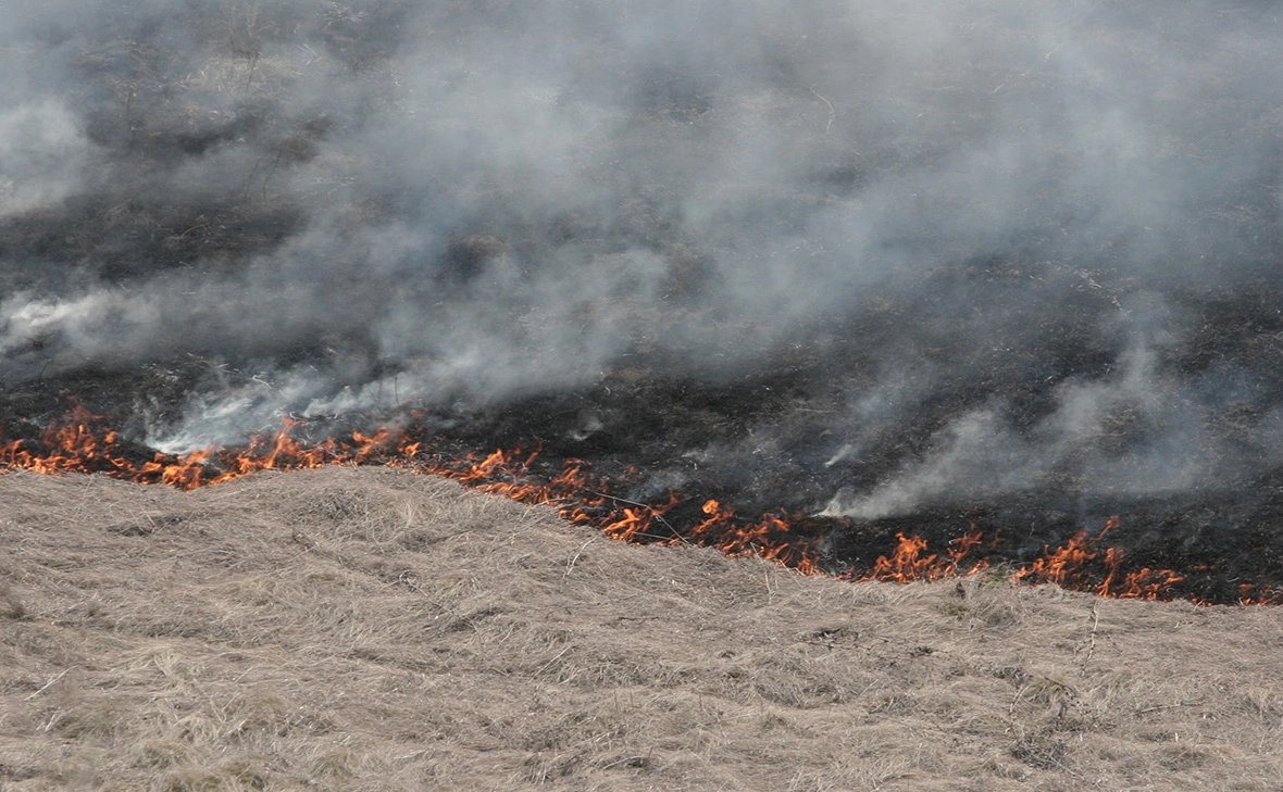 Николай Титов / Global Look Press