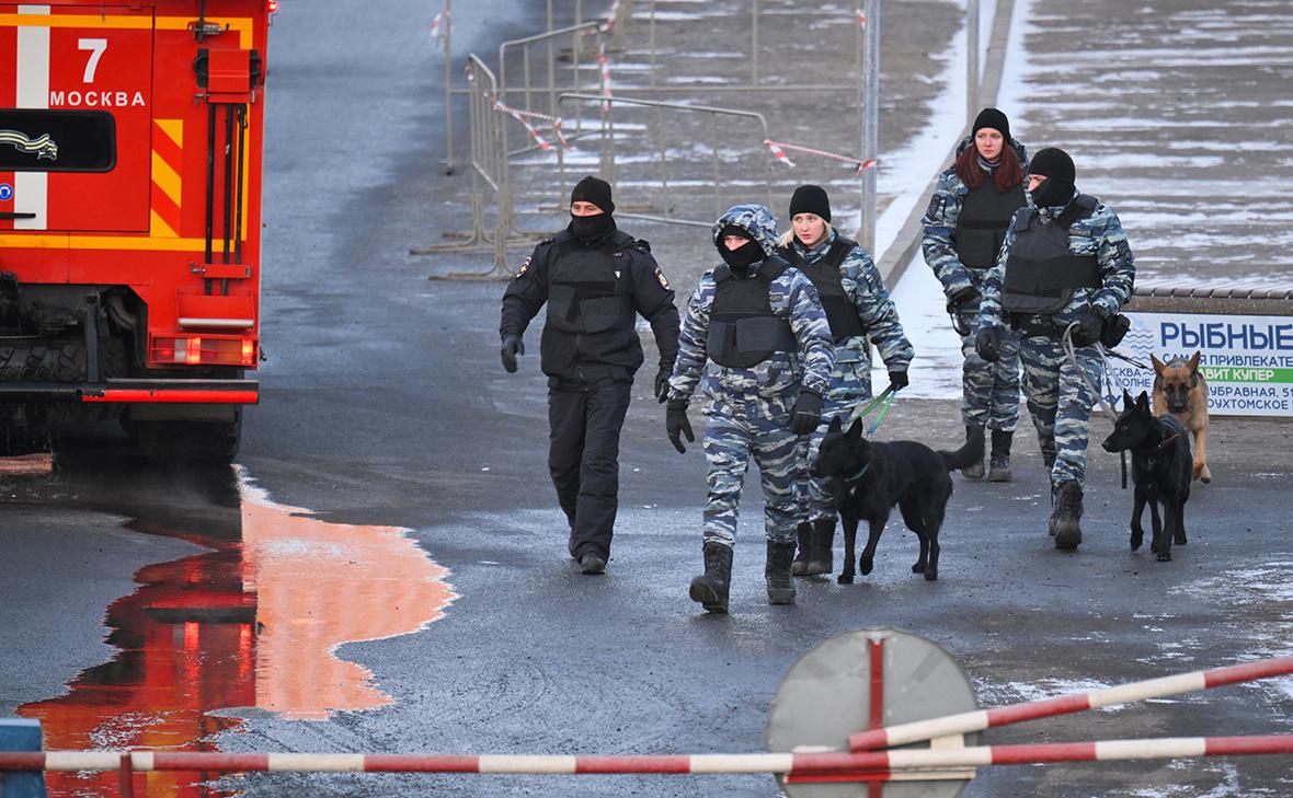 Фото: Юрий Кочетков / РИА Новости