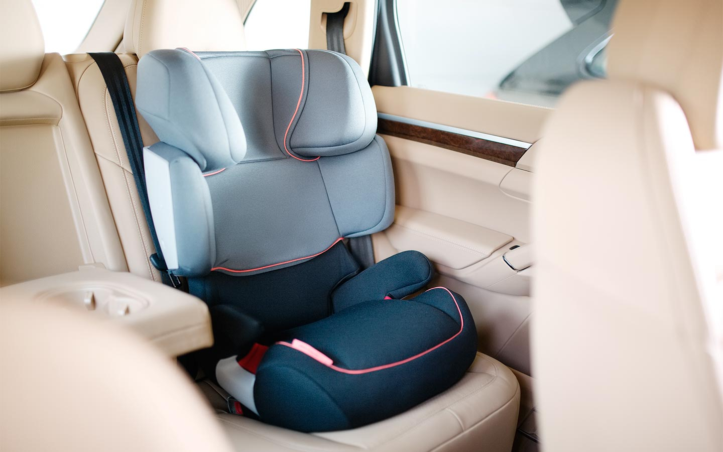 Фото: Ruta Production / Shutterstock / FOTODOM