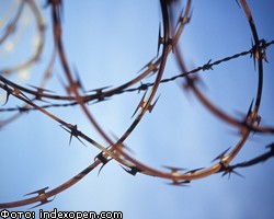 Более половины заключенных Греции объявили голодовку