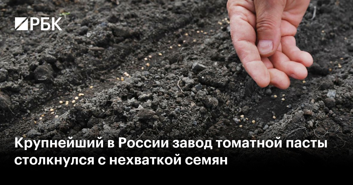 Крупнейший в России завод томатной пасты столкнулся с нехваткой семян