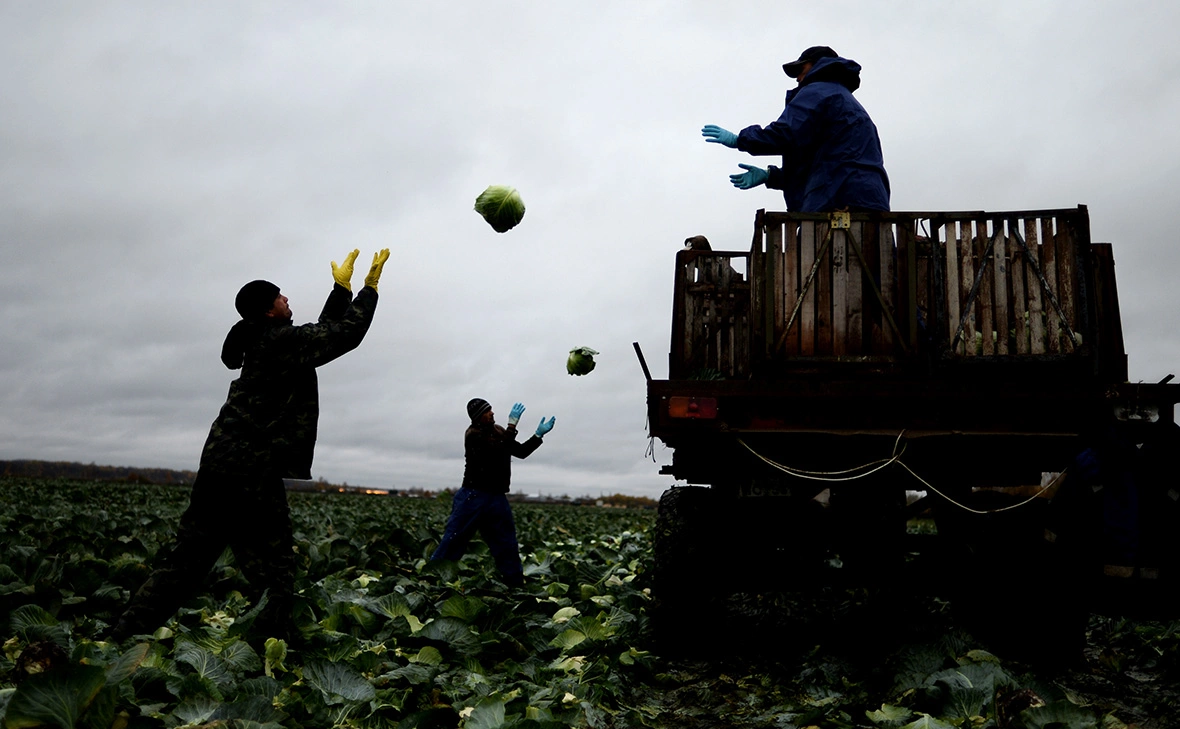 Константин Чалабов / РИА Новости
