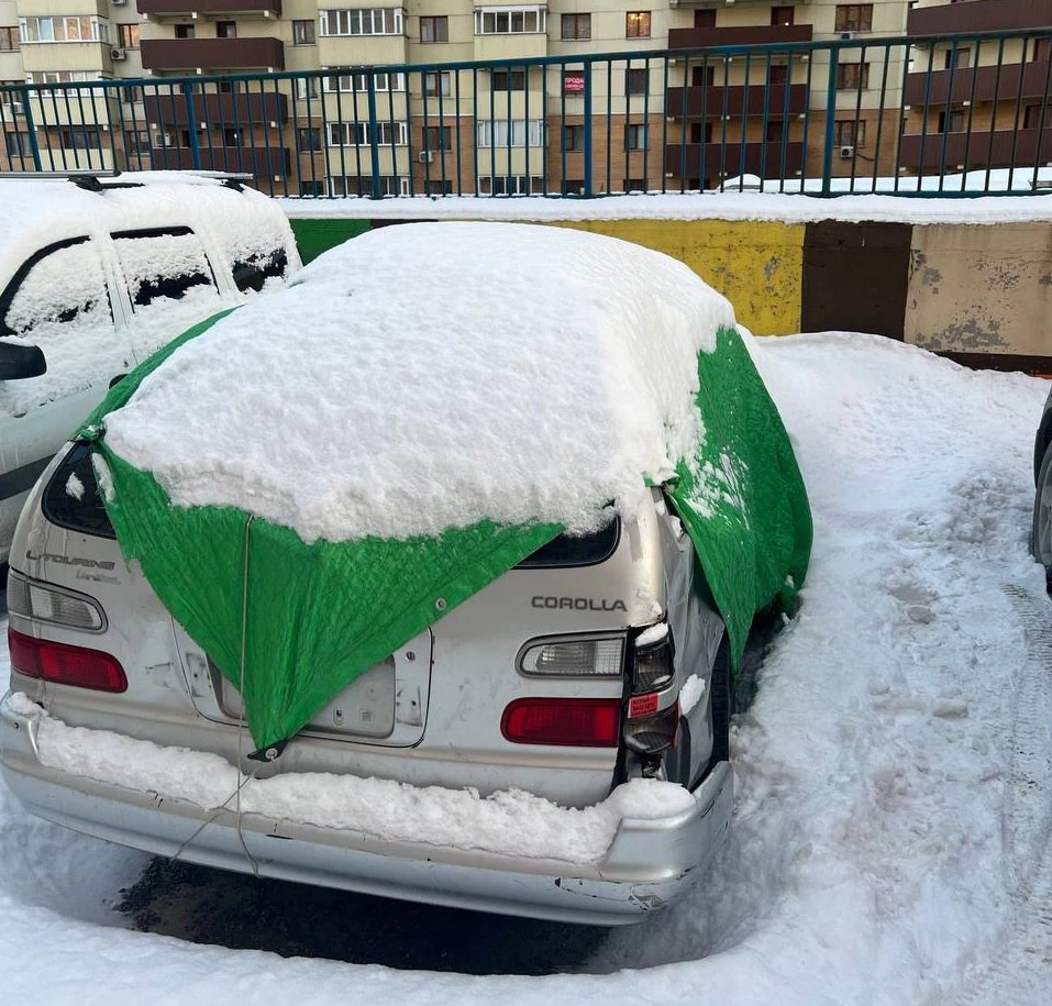 РБК Новосибирск