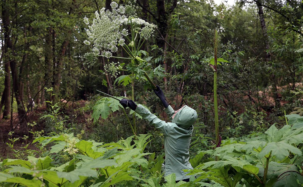 Фото: Павел Львов / РИА Новости