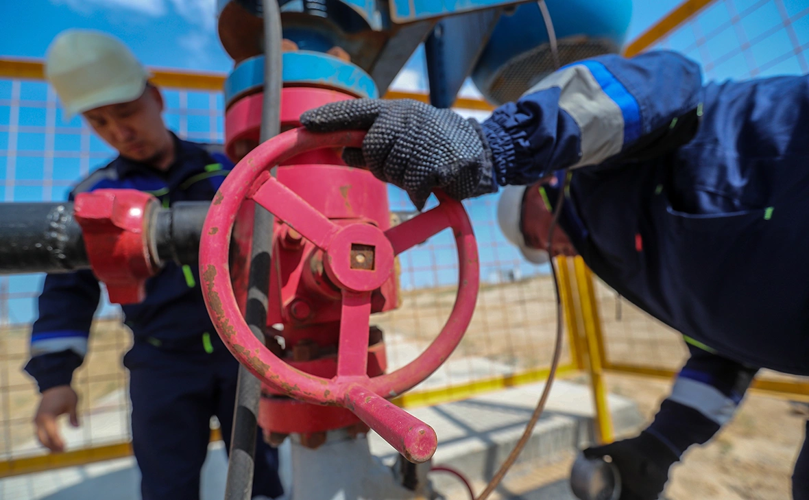 Павел Михеев / Shutterstock