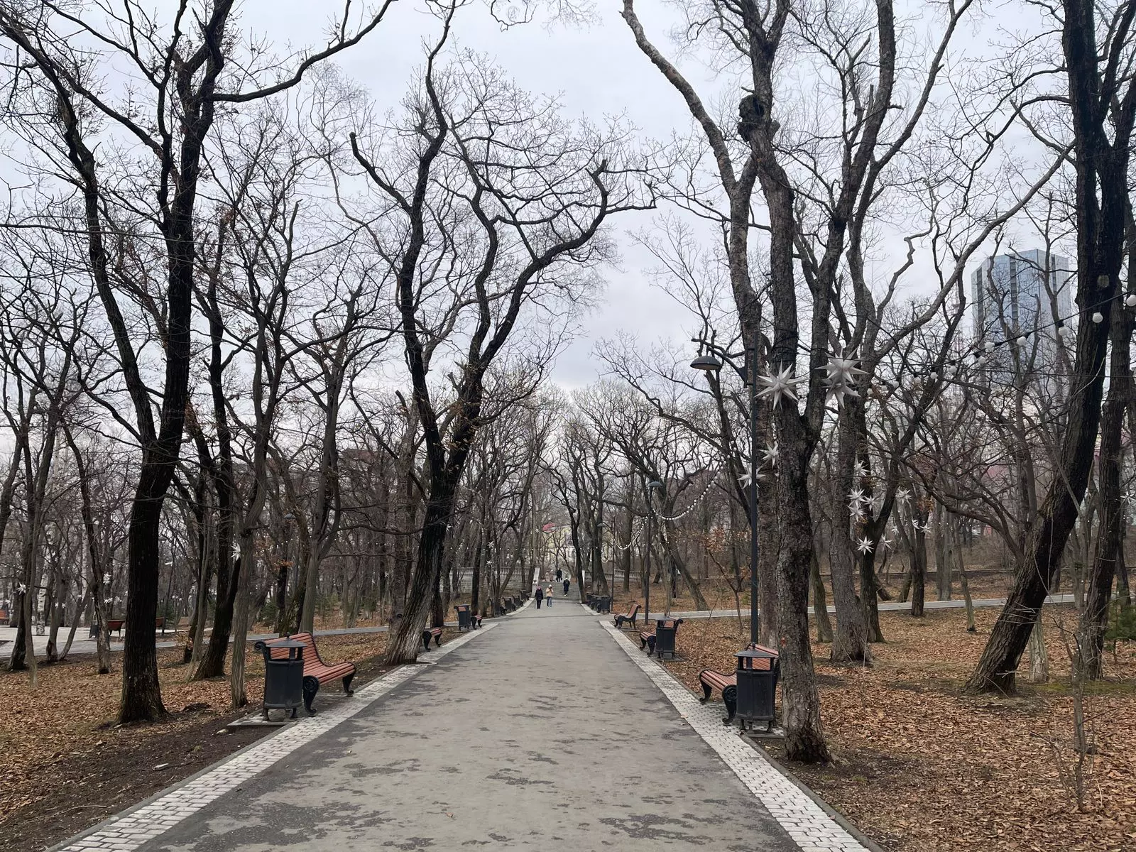 РБК Приморье