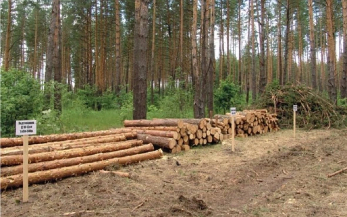 Минлесхоз РБ