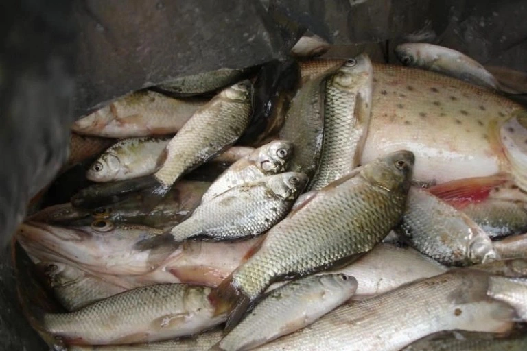 Администрация Ханкайского муниципального округа